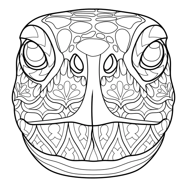 Mandala – Korytnačka | Online omaľovánky pre deti